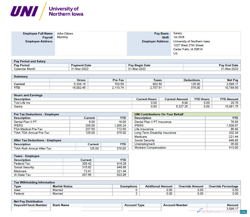 Download USA UNIVERSITY of Norther Iowa paystub in Excel and PDF formats Photoshop template